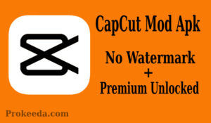 Capcut mod apk latest version download. For Android, Windows and IOS platform.